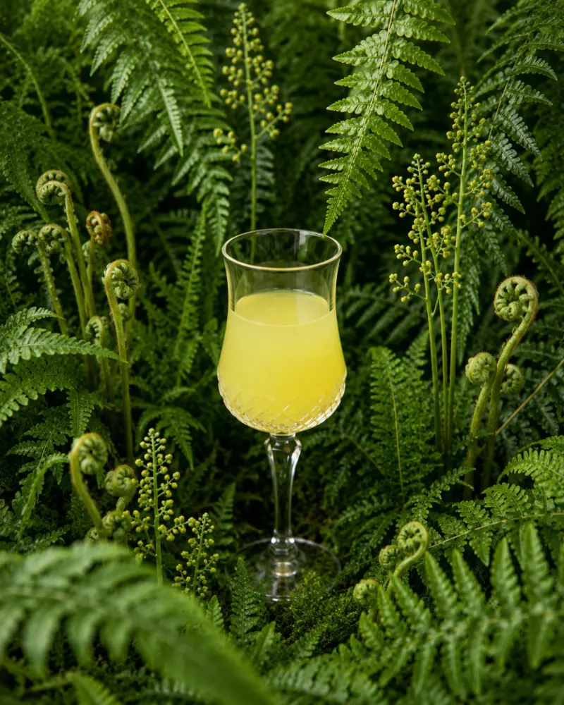 Limoncello glāzītē starp papardēm